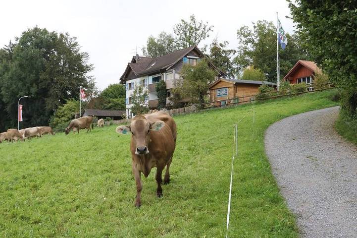 Bauernhof für 3 Personen, mit Garten im Thurgau