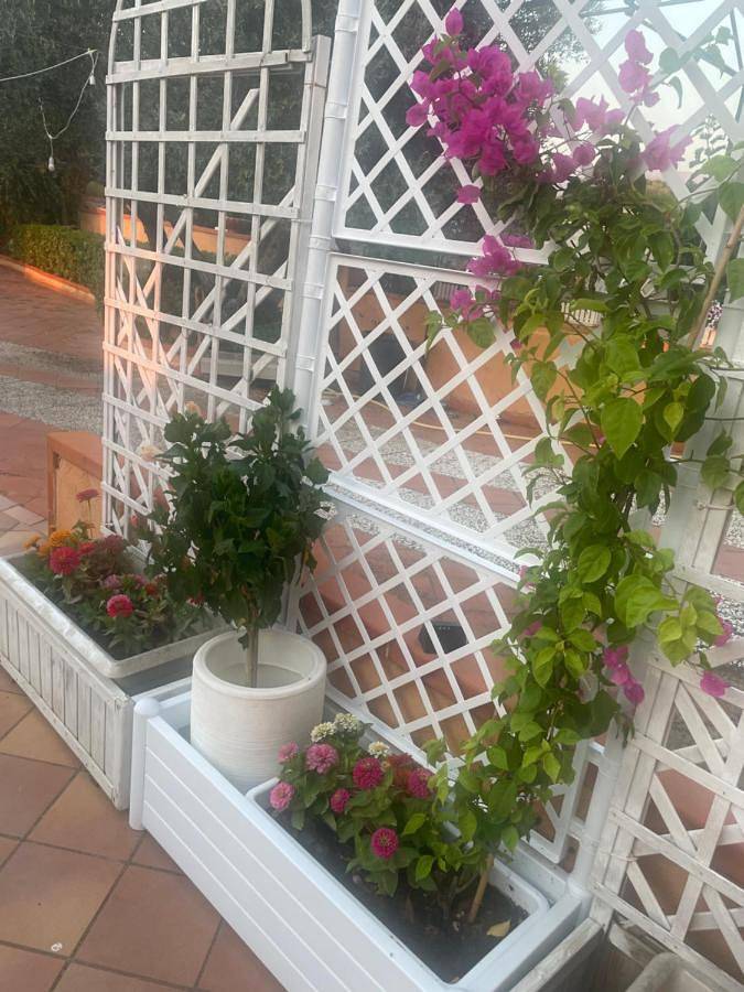 Villa Fiory in Terrasini, Provincia di Palermo