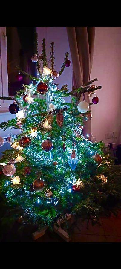 Chambre d’hôte pour 2 personnes, avec terrasse ainsi que jardin et vue dans l' Aude - 4