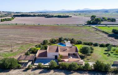 Finca in Petra (Mallorca), Mallorca Inselmitte für 8 