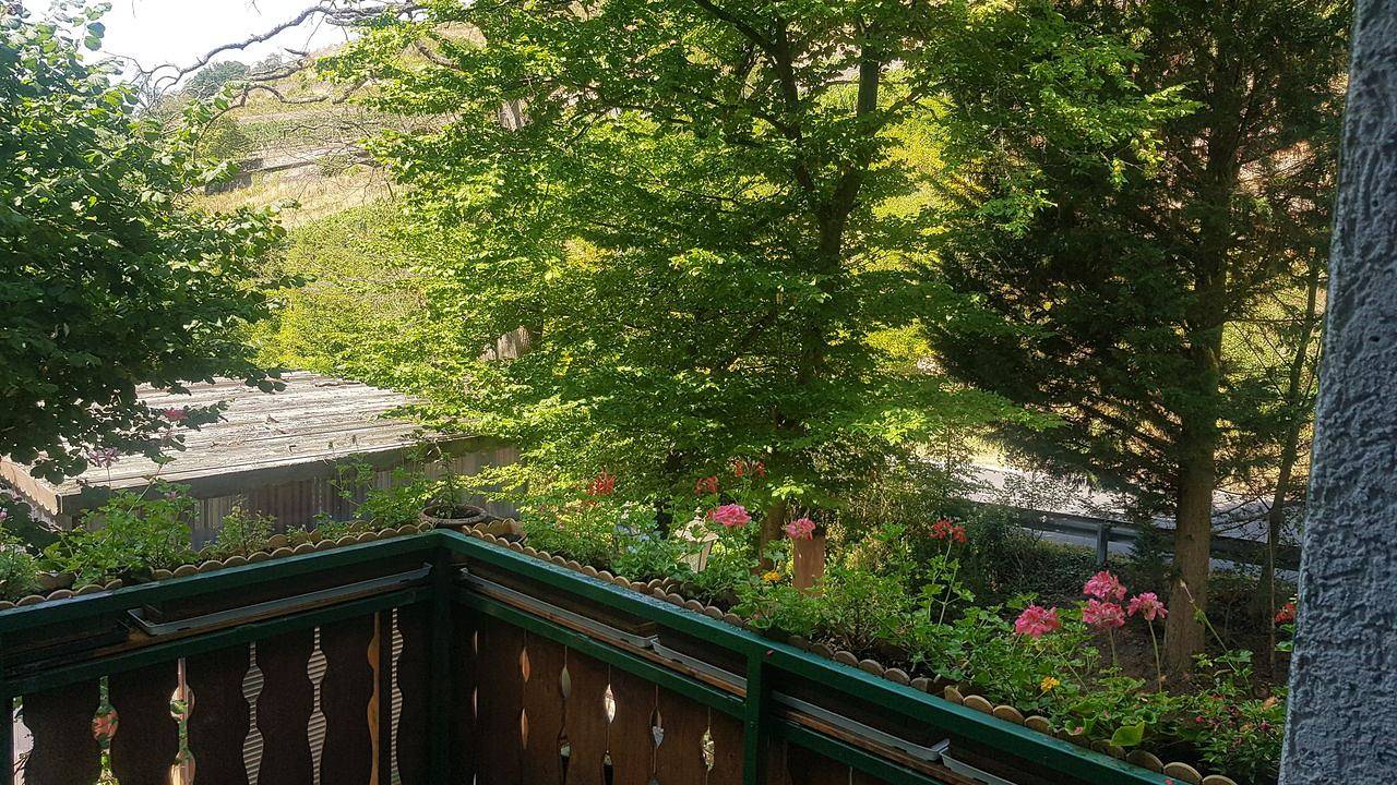 Ganze Ferienwohnung, Ferienwohnung für 2 Personen (80 m²) in Rüdesheim am Rhein in Assmanshausen, Rüdesheim am Rhein