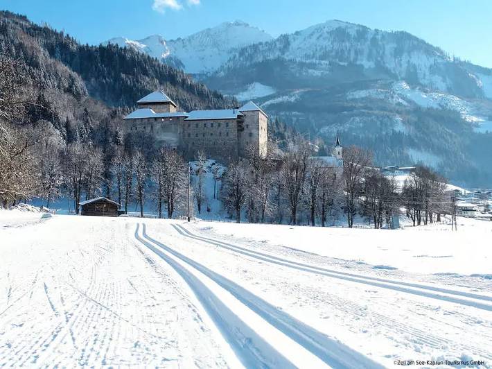 Villa für 10 Personen, mit Terrasse und Sauna, mit Haustier in Zell am See - 2