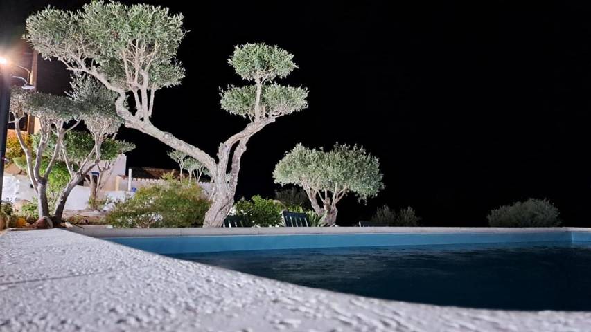 Location de vacances pour 6 personnes, avec vue ainsi que jardin et piscine, animaux acceptés à Castro Verde - 4