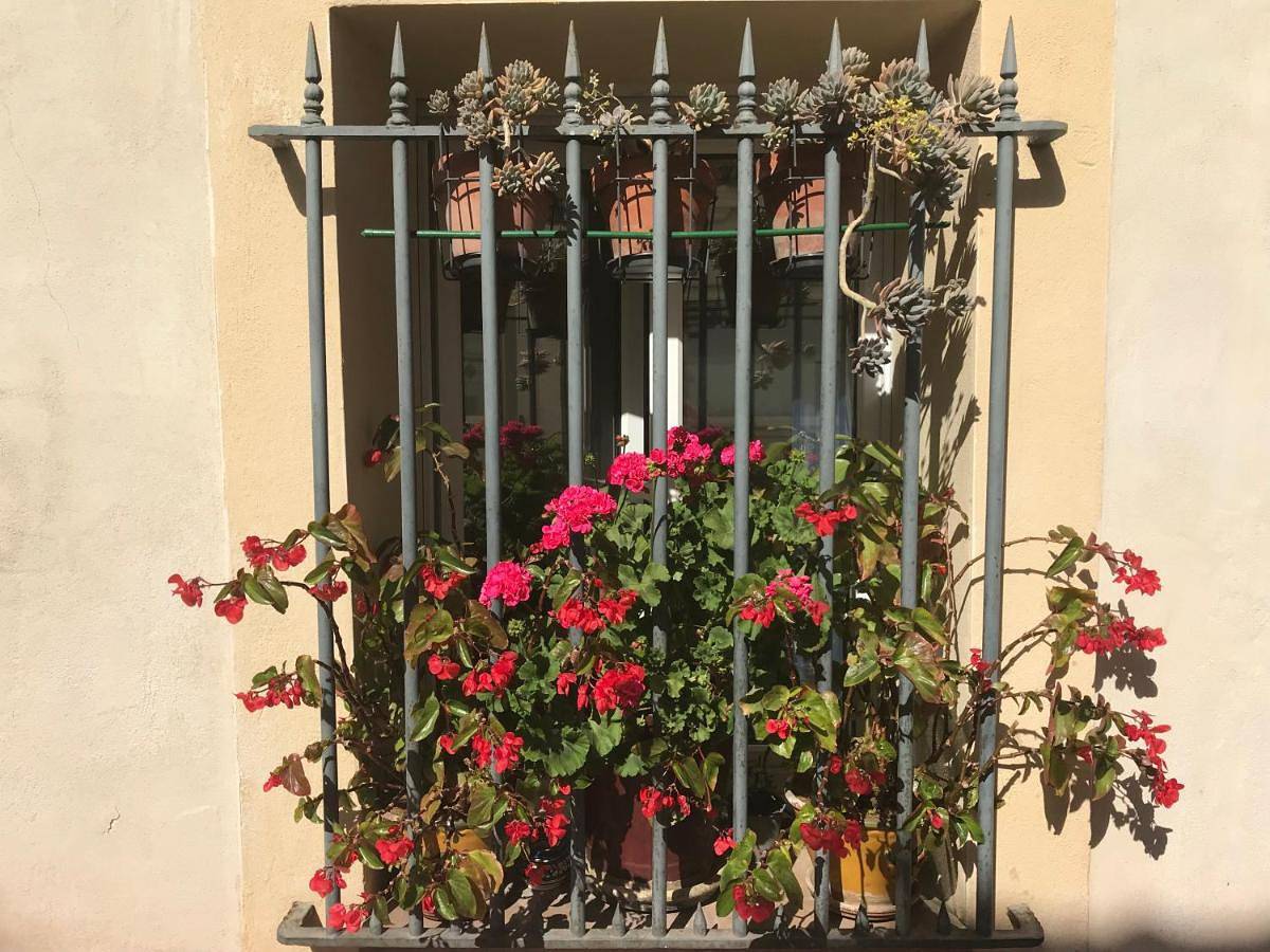 Simone's Houses in Montpellier, Côte méditerranéenne (France)