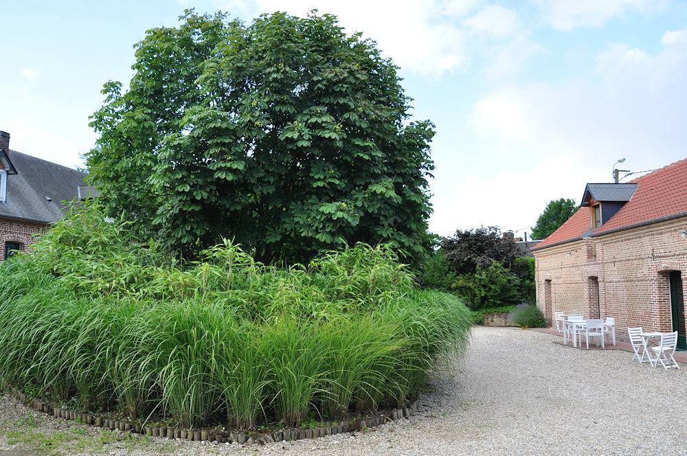 Baie de Somme, chambres d'hôtes et roulotte "Le Village" - Chambre Le Crotoy in Saigneville, Abbeville region