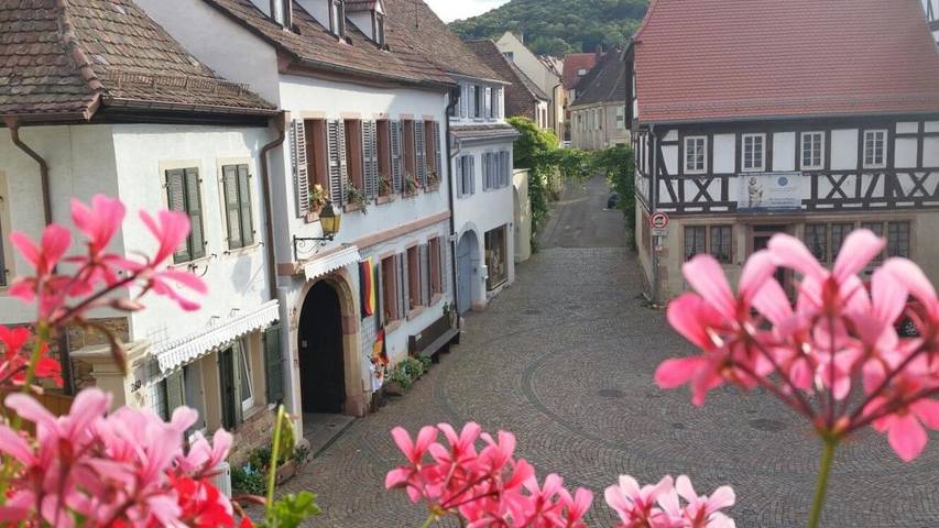 Ferienwohnung für 3 Personen, mit Ausblick in Hambach (Neustadt)