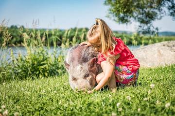 Bauernhof für 4 Personen in Nittenau, Ostbayern, Bild 2