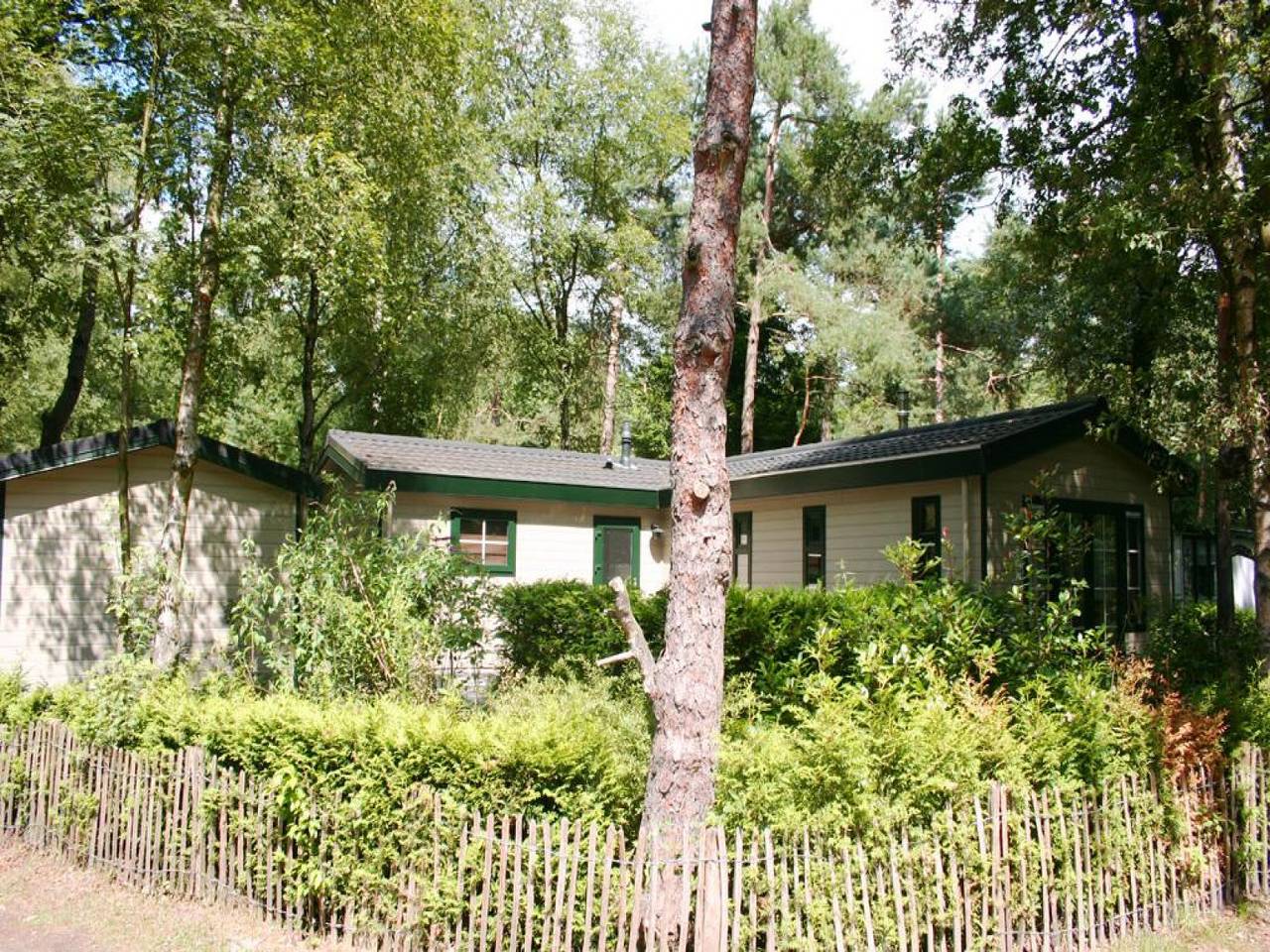 Beautiful 6-person holiday bungalow with free internet! in Veluwe