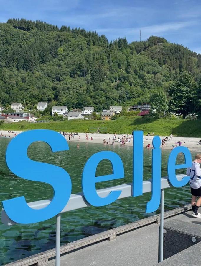 Ferienwohnung für 6 Personen, mit Ausblick und Garten, mit Haustier in Selje