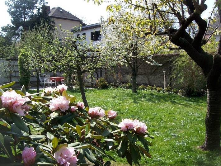 Ferienhaus für 4 Personen, mit Garten und Sauna in Steglitz-Zehlendorf - 3