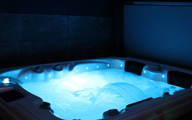 Gîte pour 2 personnes, avec sauna et jardin ainsi que terrasse et jacuzzi dans Fontenay-le-Comte - 4