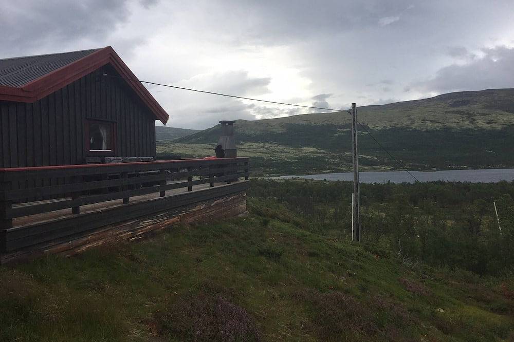 Lebe im Reich der Moschusochsen auf Dovrefjell in Dovre
