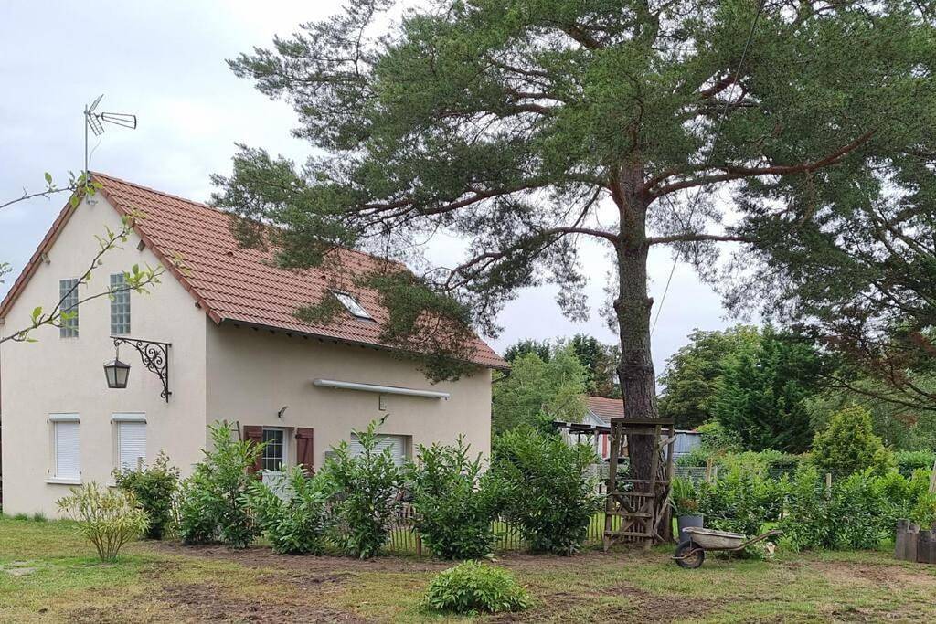Three-Bedroom Villa in Pruniers-en-Sologne, Sologne