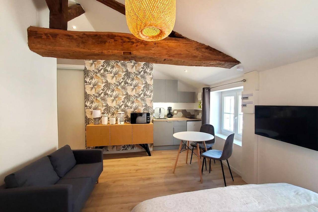 Appartement entier, One-Bedroom Apartment in Mâcon, Région de Mâcon