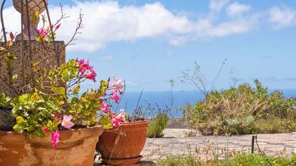 Finca für 3 Personen in Arico, Teneriffa Süd, Bild 1