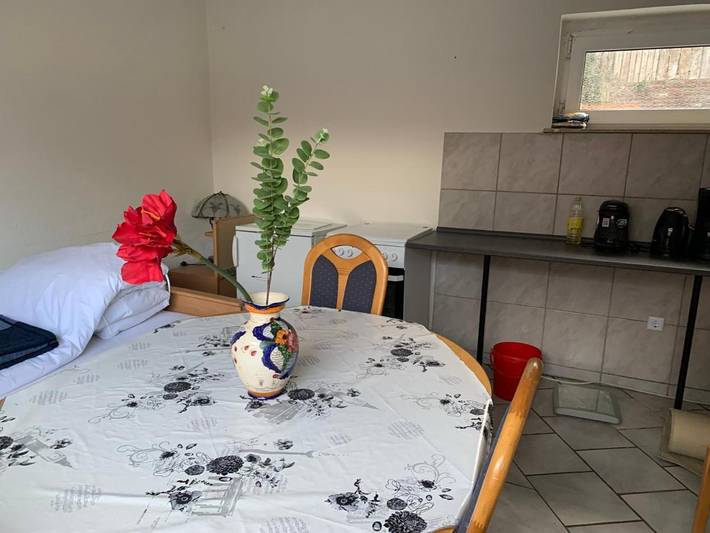 Gîte pour 3 personnes, avec jardin à Brakel - 2