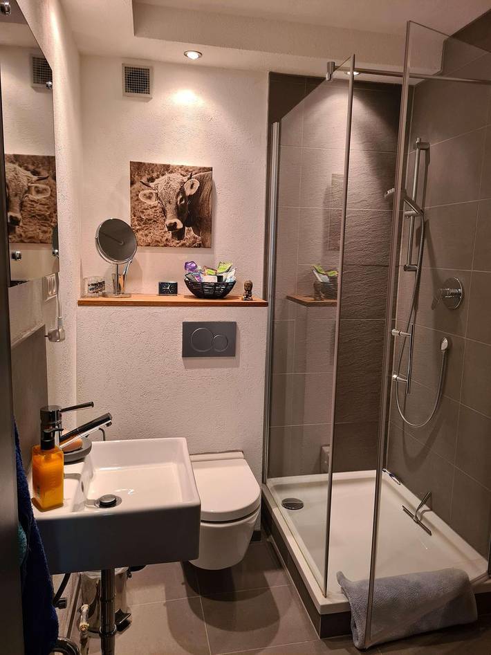 Ganze Wohnung, Komfortable Ferienwohnung mit überdachter Terrasse in ländlicher Lage. in Steibis, Oberstaufen