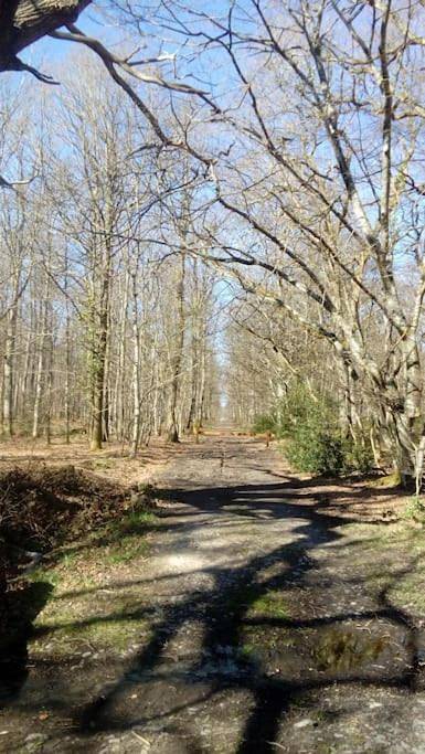 Location de vacances pour 6 personnes, avec jardin et vue à Arthon - 3