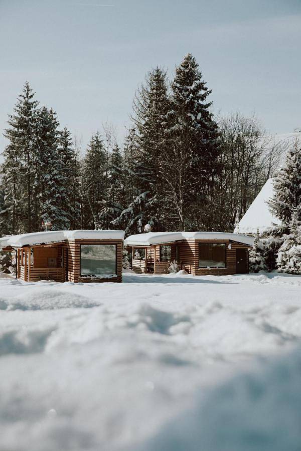 Cały apartament, Woodbox Istebna in Istebna, Karpaty (Polska)