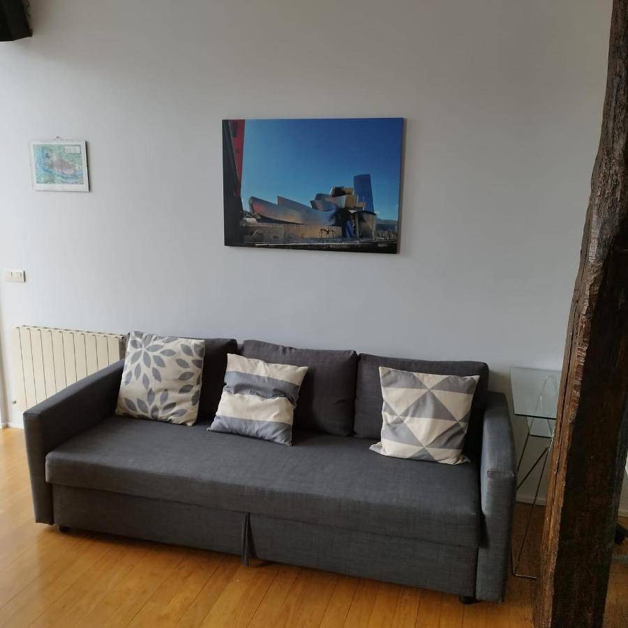 Entire apartment, Old Town & River (Casco Viejo Bilbao) E-Bi 1138 in Ibaiondo, Bilbao