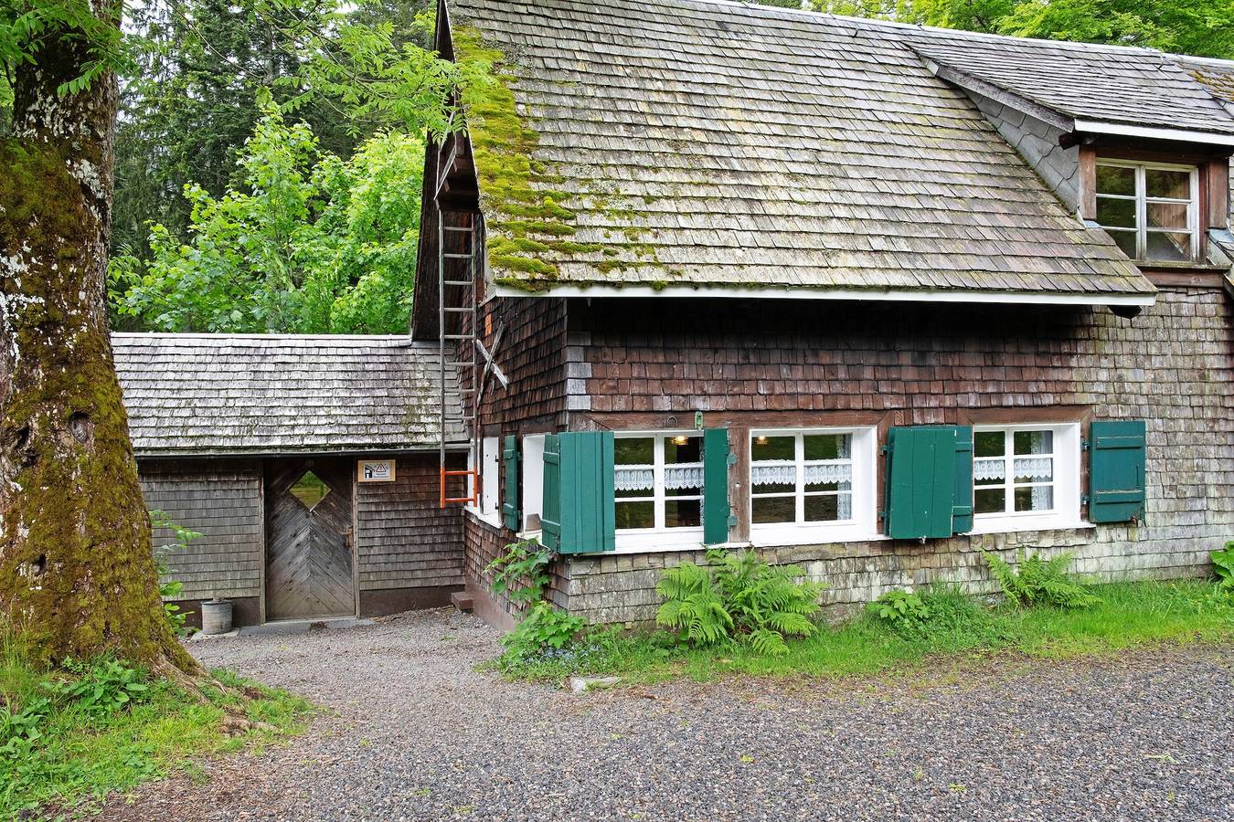 Ferienhaus 'Räuberhütte' mit Bergblick und Wi-Fi in Feldberg, Südschwarzwald