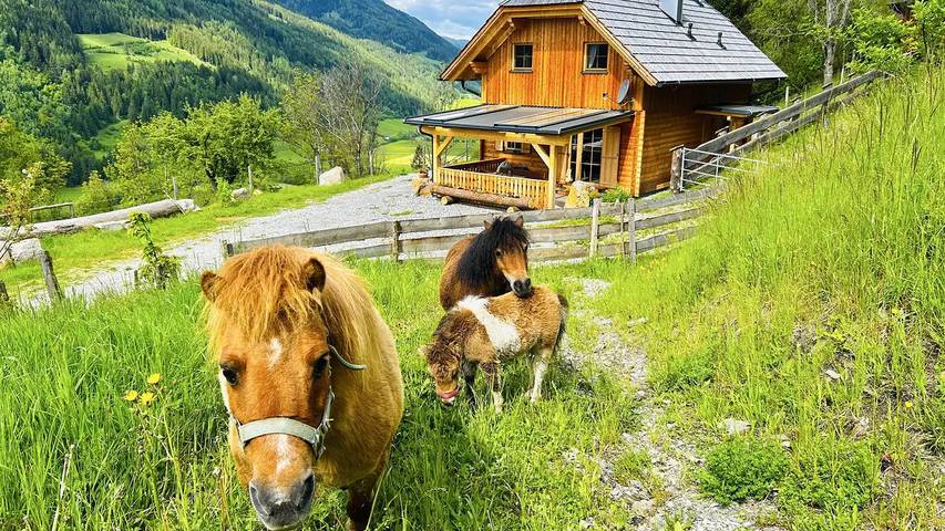 Ferienhaus für 6 Personen, mit Garten
