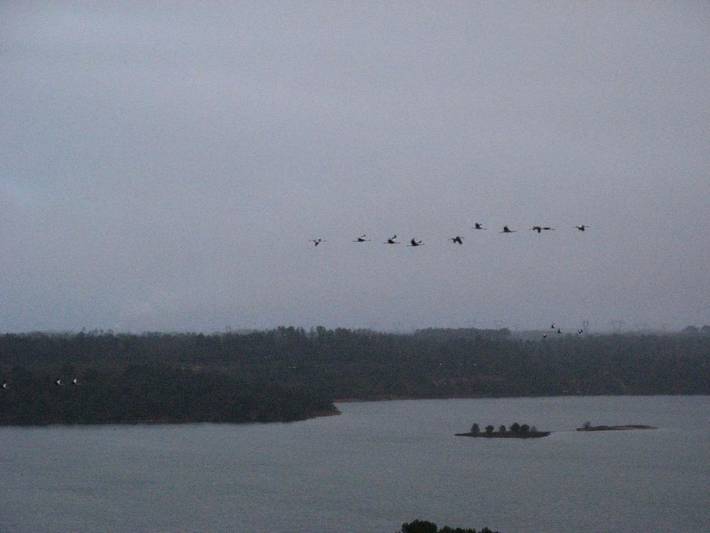 Location de vacances pour 4 personnes, avec jardin et vue dans Morcenx-la-Nouvelle - 4