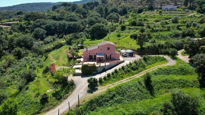 Chambre d’hôte pour 4 personnes, avec jardin et vue à Portoferraio - 2