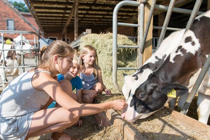 Bauernhof für 4 Personen, mit Terrasse und Garten in Elbe-Weser - 3