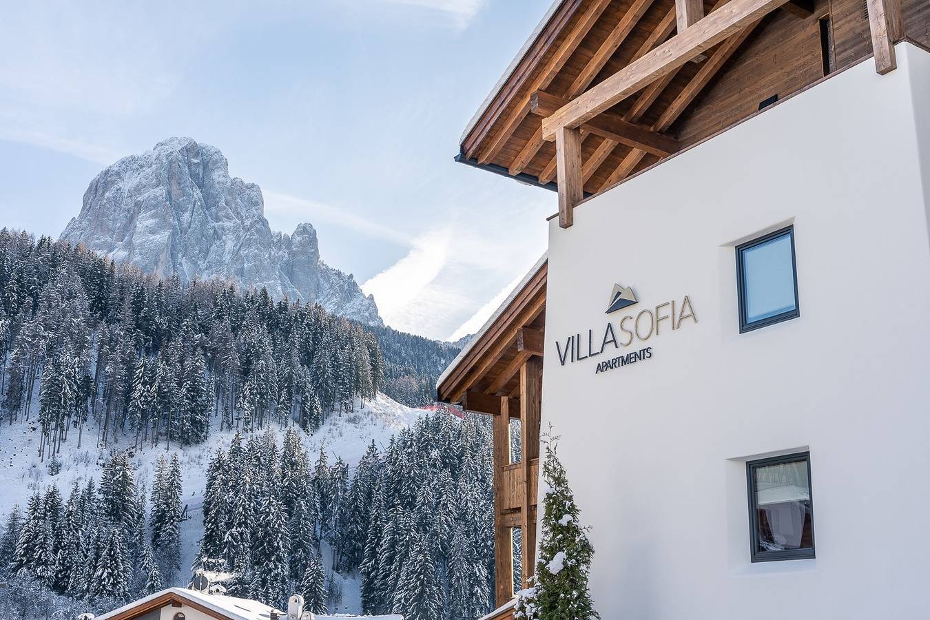 Entire apartment, Villa Sofia Apartment 'O' with Mountain View, Private Terrace and Wi-Fi in Plan da Tieja, Wolkenstein