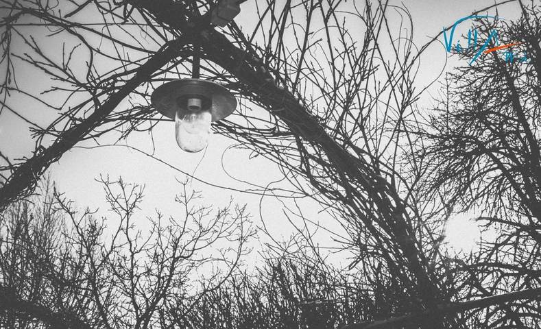 Chambre d’hôte pour 2 personnes, avec vue et vue sur le lac ainsi que piscine et jardin, animaux acceptés dans Flandre-Occidentale - 2