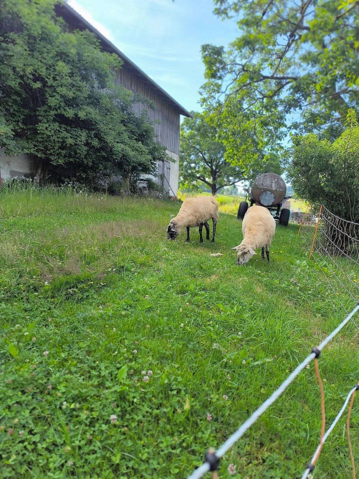 Donauleiten Höhe - Ferienwohnung Hofleben in Untergriesbach, Passauer Land