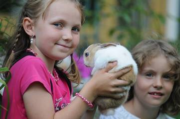 Bauernhof für 4 Personen in Schwifting, Oberbayern, Bild 4