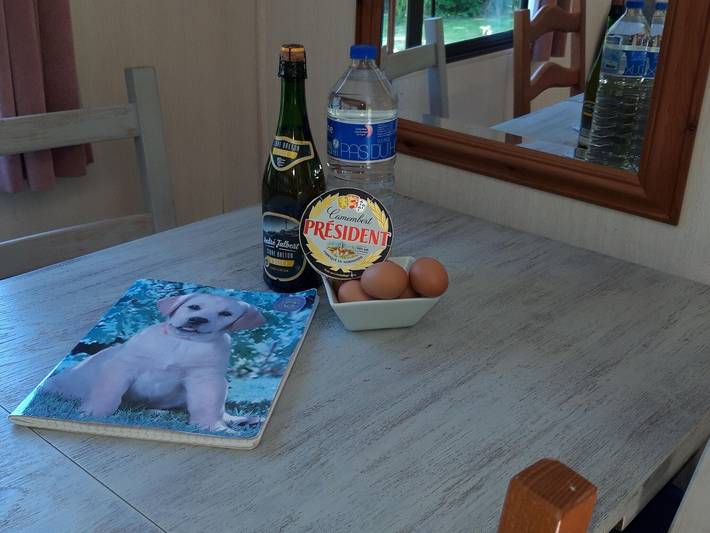 Camping für 4 Personen, mit Terrasse und Garten, mit Haustier in Cotentin - 2