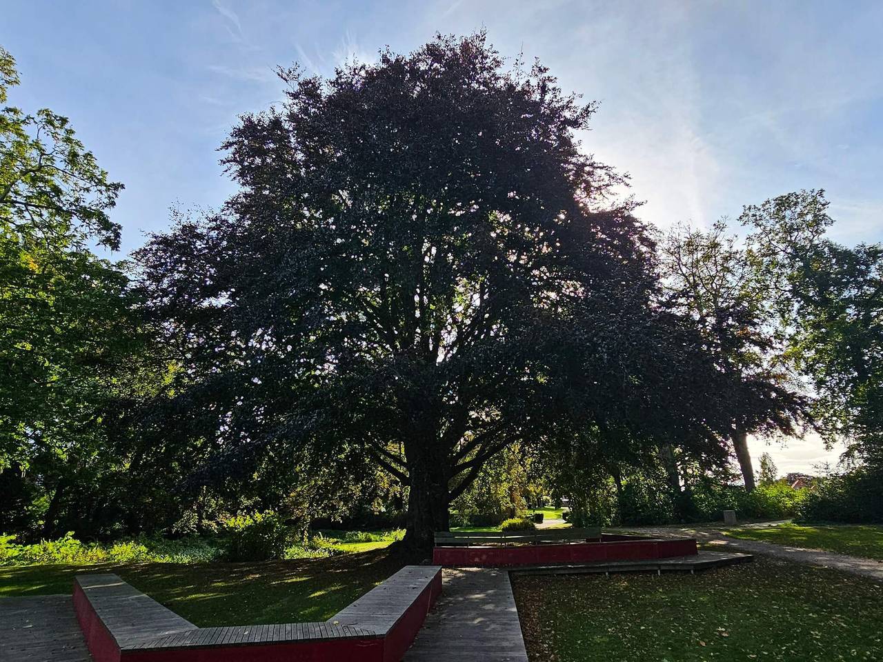6 Personen Ferienhaus in Stubbekøbing-By Traum in Stubbekøbing, Schwedische Ostsee