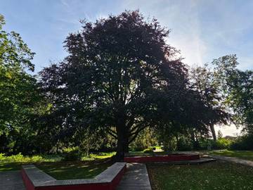 Ferienhaus für 6 Personen in Lolland-Falster, Bild 4