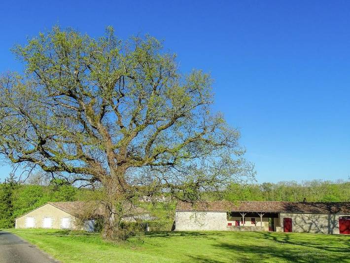 Location de vacances pour 6 personnes, avec Terrasse et Jardin à Sigoulès - 2