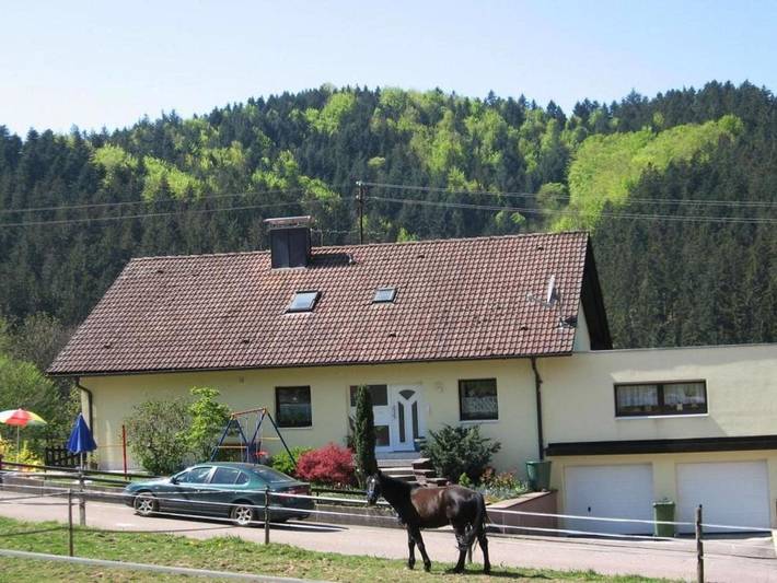 Ferienwohnung für 4 Personen, mit Terrasse und Garten in Ottenhöfen im Schwarzwald