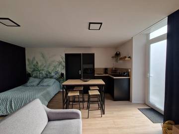 Gîte pour 3 personnes, avec jardin et terrasse à Buhl