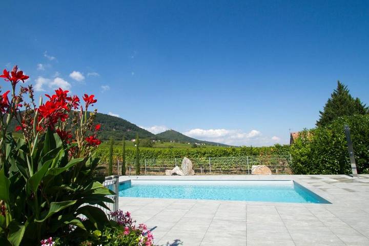 Gîte pour 3 personnes, avec vue ainsi que jardin et piscine à Vœgtlinshoffen - 3