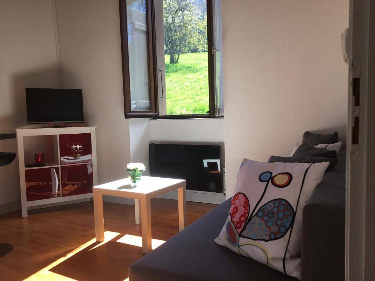 Appartement entier, One-Bedroom Apartment in Saint-Cergues, Région de Saint-Julien-en-Genevois