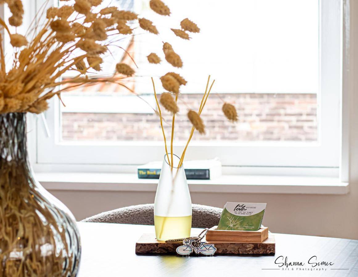Geheel appartement, Penthouse Apartment in Alkmaar, Nederlandse Noordzeekust