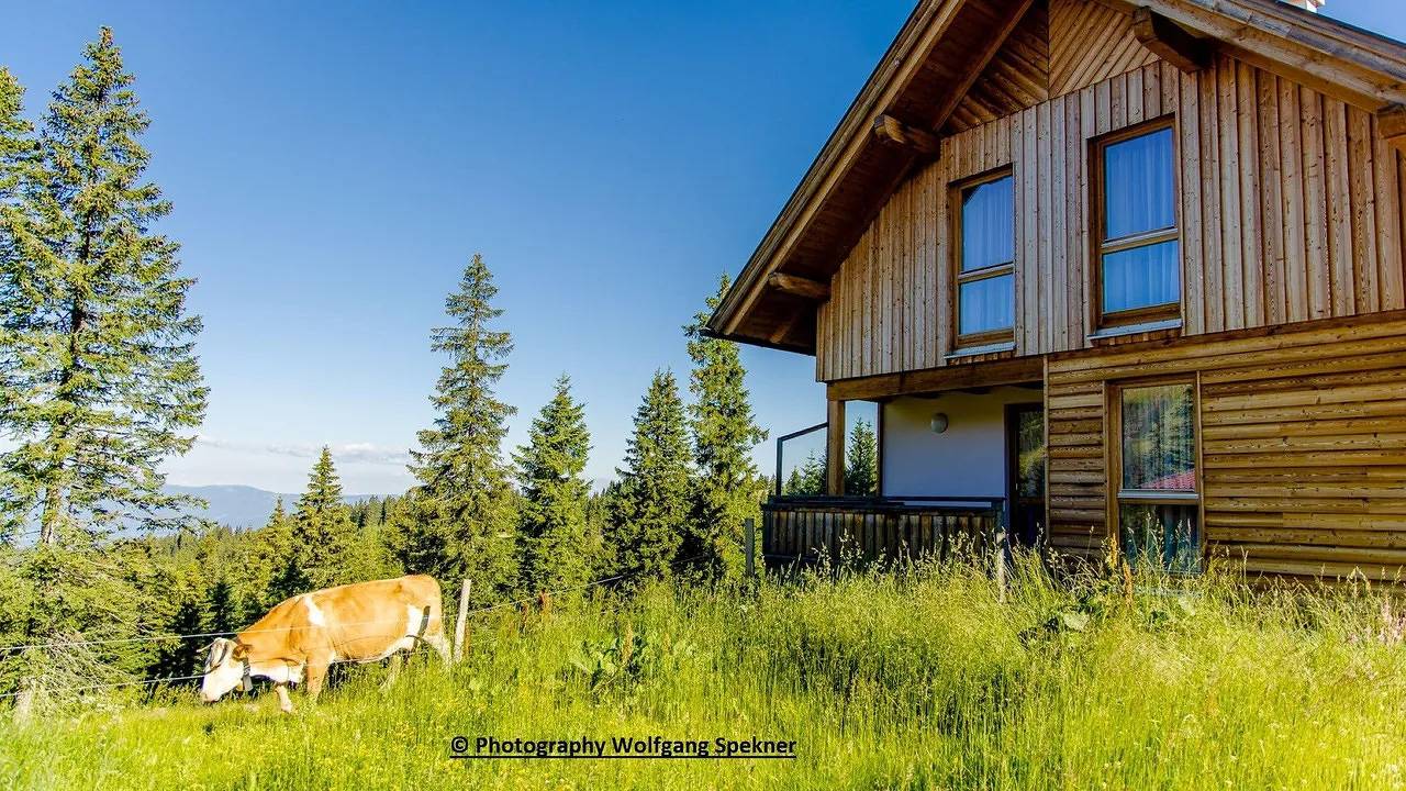 Ferienhaus für 6 Personen (67 m²) in Weinebene in Lavanttaler Alpen