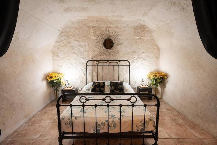 Location de vacances pour 9 personnes, avec jardin à Chançay - 2