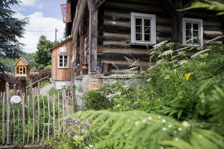 Ferienwohnung für 11 Personen, mit Balkon/Terrasse und Terrasse sowie Garten und Sauna in Bad Schandau - 4