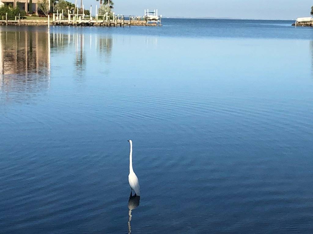 Vacation Home for 2 Guests in Sarasota, Sarasota County