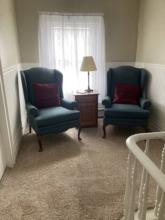 Quaint & Cozy Guest House on Main St., park & walk downtown, Wi-Fi available. in Tioga County