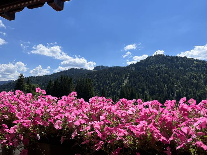 Ferienwohnung für 5 Personen, mit Balkon und Garten in Hörnerdörfer - 3