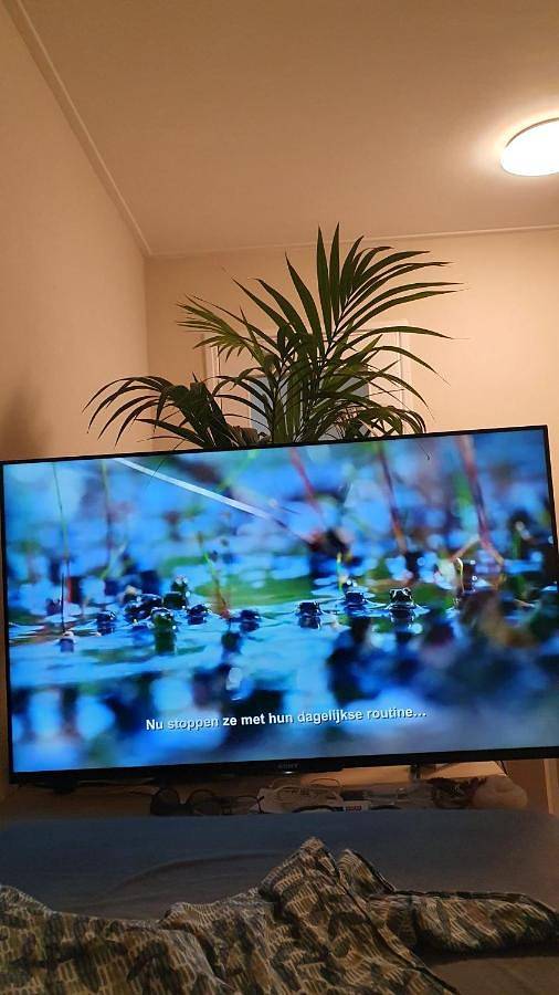 Gîte pour 3 personnes à Purmerend - 3