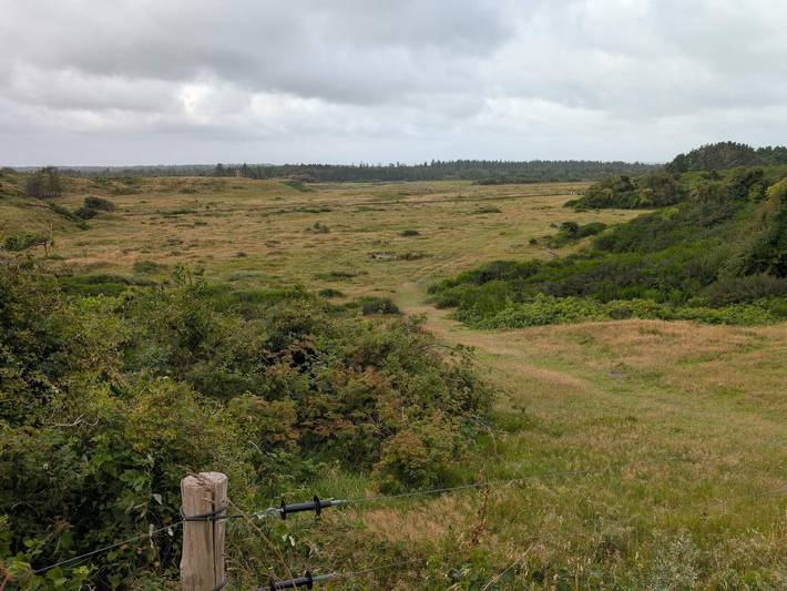 Ferienhaus für 8 Personen, mit Terrasse, mit Haustier in Jammerbugt - 3